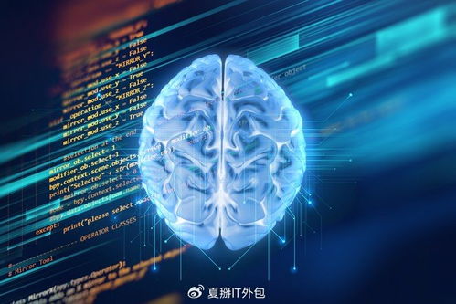 軟件開發(fā)公司的AI魔法 解鎖無限可能的軟件外包服務(wù)新紀元